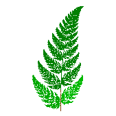 Barnsley's fern (modified pinnae)